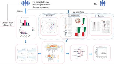 Effects of acupuncture on gut microbiota and short-chain fatty acids in patients with functional constipation: a randomized placebo-controlled trial